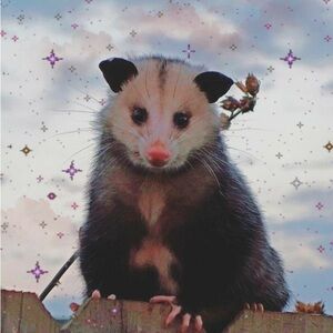 Y2K Rhinestone cross hat